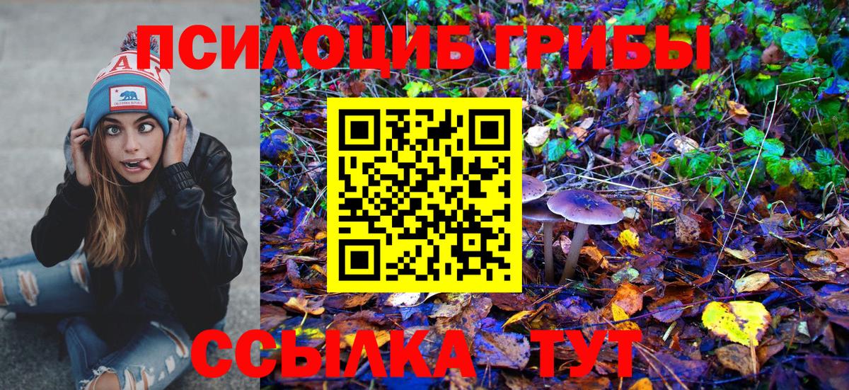Псилоцибиновые грибы Magic Shrooms Димитровград