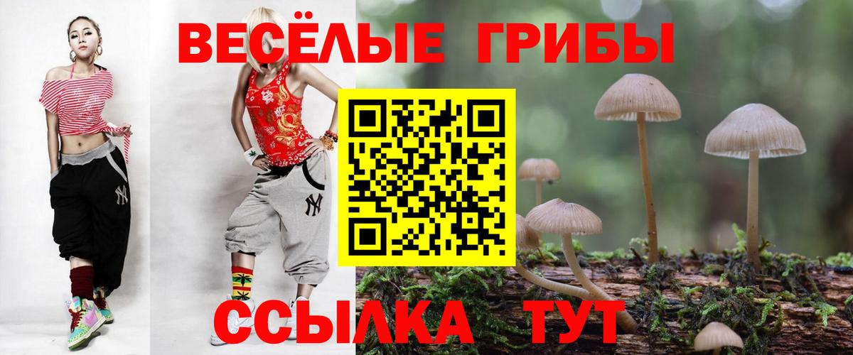 Димитровград  Псилоцибиновые грибы MAGIC MUSHROOMS  Вход с VPN  Псилоцибиновые грибы прущие грибы 