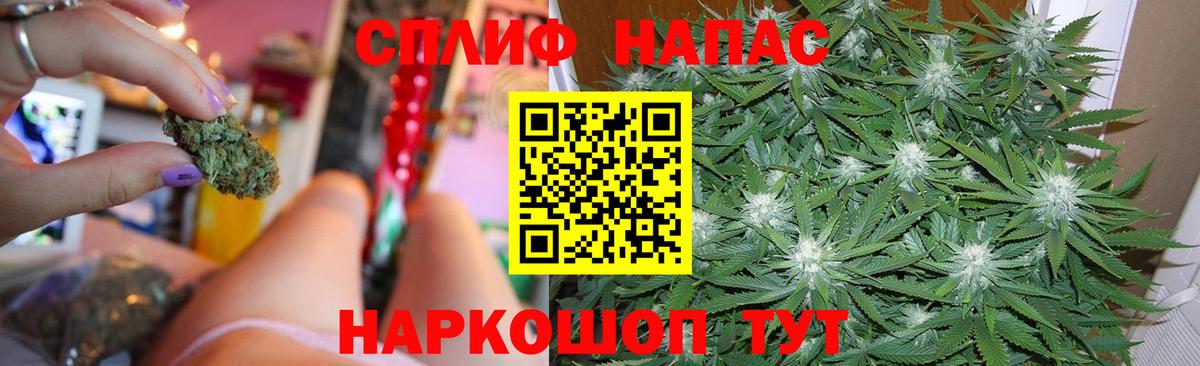 Димитровград  Канабис план  Вход с VPN  Каннабис план  Бошки марихуана планчик 